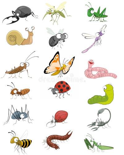 Cartoon insects stock vector. Illustration of funny, leaf - 14506415 Beetle Cartoon, Cartoon Insects, Insects Illustration, Easy Games For Kids, Beetle Illustration, Coloring Set, Vector Character Design, Nice Art, Funny Doodles