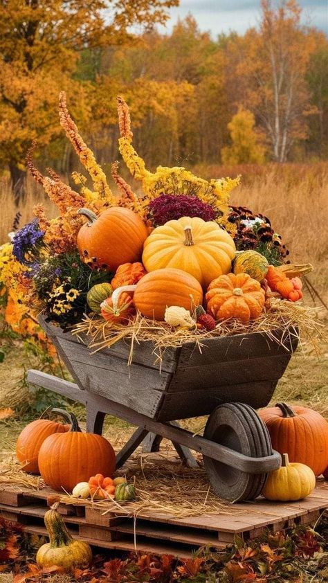 Outdoor Fall Decor Ideas Yard, Fall Yard Decor, Outdoor Fall Decor Ideas, Outdoor Fall Decor, Fall Garden Decor, Fall Decor Inspiration, Cozy Outdoor, Autumn Magic, Fall Decor Ideas