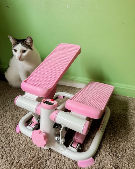 New pink stepper 🎀 and the manager approve 🤭 #stairstepper #pinksteppers #sunnystepper #pinkstuff #pinkera #workout #workoutmotivation #workoutathome #loveself #weightlossjourney #instagram #instalike #instadaily #instaphoto #instapic #instaworkout #fitness #momlife #momfitness Mini Stepper Workout, Stepper Workout, Mini Stepper, Stair Stepper, Workout Aesthetic, 2025 Vision, Fit Mom, Fitness Inspo, At Home Workouts