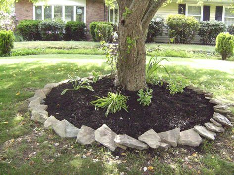 this was my mother's day project to my mom- put the stones and mulch around the crab apple tree Tree Mulch, Landscaping Around House, Landscaping Around Trees, Mulch Landscaping, Garden Shrubs, Crab Apple, Landscaping Tips, Easy Plants, Diy Landscaping