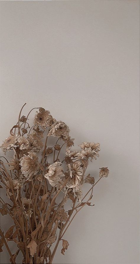 Aesthetic Wallpaper Dried Flowers, Dried Flowers Aesthetic Wallpaper, Zaffre Aesthetic, Wilted Flowers Aesthetic, Dried Flowers Wallpaper, Dried Flowers Aesthetic, Notion Wallpaper, Seasonal Wallpaper, Wilted Flowers