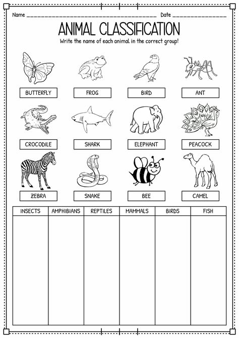 Animal Needs First Grade, All About Animals Activities, Different Types Of Animals Worksheet, Types Of Animals Kindergarten, Animal Classification Worksheet Free Printable, Needs Of Animals Worksheet, Growth And Changes In Animals Grade 2, Classification Of Animals Worksheet, Classifying Animals Worksheet