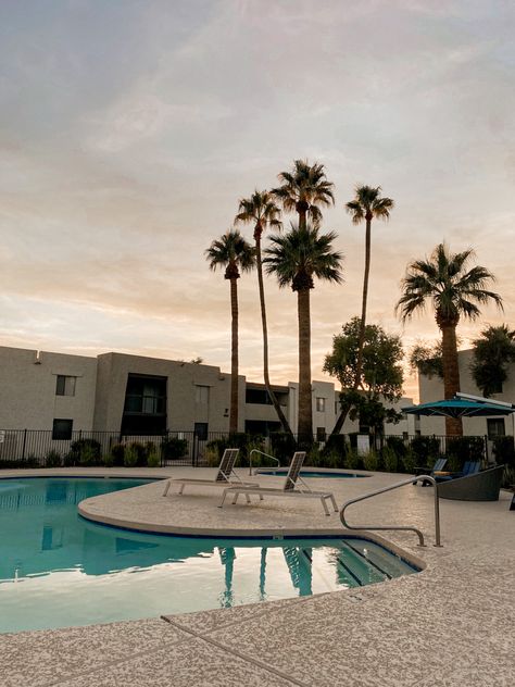 Arizona Apartment Aesthetic, Arizona Apartment, Arizona Pools, Apartment Aesthetic, Arizona Travel, Summer School, Palm Trees, Swimming Pools, Arizona