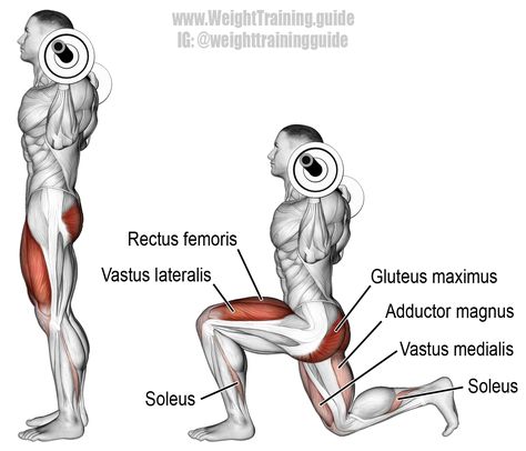 Barbell lunge. Another brilliant compound exercise for developing unilateral lower-body functional strength! Target muscles: Quadriceps (Vastus Lateralis, Vastus Intermedius, Vastus Medialis, Rectus Femoris). Synergists: Gluteus Maximus, Adductor Magnus, and Soleus. Vastus Medialis, Rectus Femoris, Lunge Workout, Leg Training, Gluteus Maximus, Compound Exercises, Trening Fitness, Workout Chart, Legs Workout