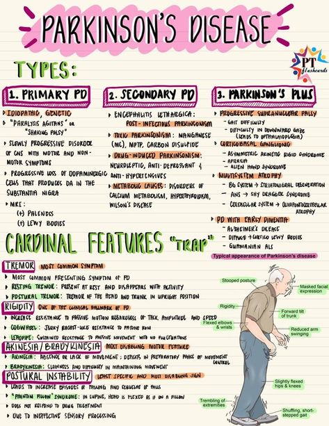 Pathophysiology Neurology, Neurology Nursing Notes, Neuro Nursing Notes, Nursing School Ipad Notes, Physical Therapist Assistant Student, Npte Study Tips, Neuro Nursing Cheat Sheets, Pathophysiology Nursing Study Guides, Antibiotics Cheat Sheet