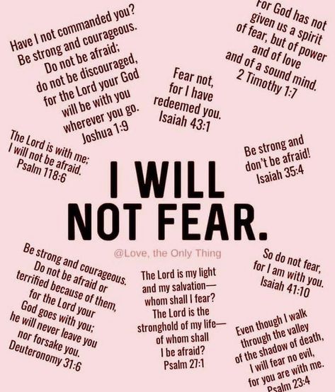 Quotes Biblical, Vine Yard, John 8 32, Christian Journal, Prayer Bible, Griddle Recipes, Christian Affirmations, Spirit Of Fear, God Is Amazing