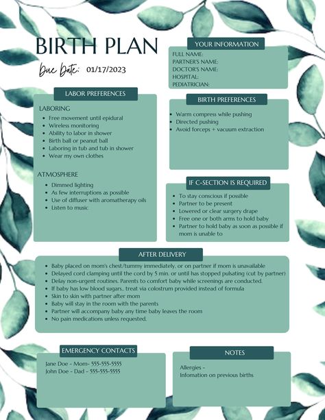 Personalized birth plan! Gender neutral! Natural Birth Plan Examples, Birth Plan Uk, Pregnancy Tips For New Moms, Birth Plan Examples, Birthing Plan, Birth Plan Checklist, Birth Plans, Natural Birthing Plan, Birth Plan Template