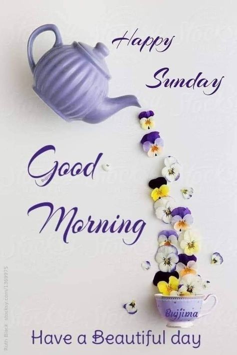 Hello Sunday Quotes, Happy Sunday Images Beautiful, Have A Nice Saturday, Sunday Morning Wishes, Very Good Morning Images, Good Morning Gift, Happy Sunday Images, Good Morning Sunday Images, Happy Sunday Morning