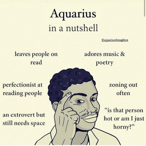 Aquarius Season Meme, Aquarius Facts Men, Aquarius Zodiac Facts, Aquarius Images, February Aquarius, Aquarius Dates, February Zodiac, Social Causes, Aquarius Aesthetic