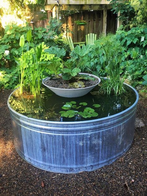 Stock Tank Pond, Diy Ponds Backyard, Small Water Gardens, Ponds For Small Gardens, Fish Pond Gardens, Water Gardens Pond, Outdoor Ponds, Pond Fountains, Backyard Water Feature