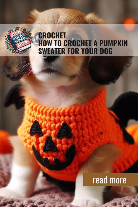 Dressing your dog in a crochet pumpkin sweater is a fun way to include your pet in Halloween celebrations. Crochet Dog Halloween Costume Free Pattern, Crochet Pumpkin Hat For Dog, Crochet Pet Pumpkin Hat, Crochet Dog Costume, Crochet Halloween Dog Costumes, Crochet Halloween Dog Sweater, Crochet Doggie Sweater Small Dogs, Crochet Weenie Dog Sweater, Dog Jacket Patterns