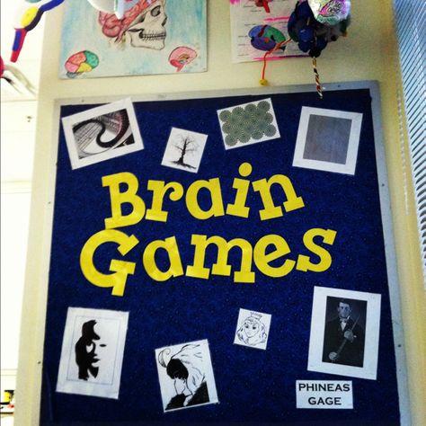 Part of my brain corner in my psychology classroom. All the pictures are perception puzzles and the displays above the board and the 3D brains hanging from the cieling were made by students! Psychology Classroom, Nurse Bulletin Board, Ap Psychology, Class Theme, Classroom Signs, Door Decorations Classroom, School Psychology, Class Decoration, Classroom Environment