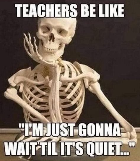 teachers be like - i'm just gonna wait til it's quiet  Funny Teacher Memes, perfect for back to school. Share with your favorite teachers. #teacher #teachermemes #teaching #teachers #teacherstyle #backtoschool #funny #funnymemes #funnymemeshilarious #lol #memes #memesdaily #memesfunny #humor Teacher Memes Funny, Teaching Memes, Classroom Memes, Teacher Funnies, Teaching Humor, Teacher Memes, Teacher Jokes, School Memes, Teacher Quotes