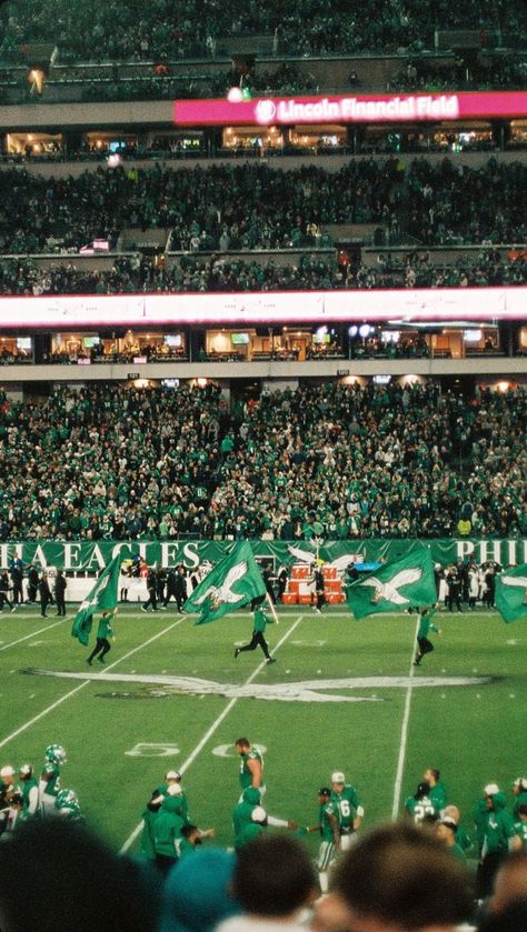 Eagles Game Aesthetic, Go Birds Philadelphia Eagles, Philadelphia Eagles Aesthetic, Eagles Superbowl, Hype Pics, Philadelphia Eagles Wallpaper, Eagles Wallpaper, Eagles Win, Eagles Philadelphia