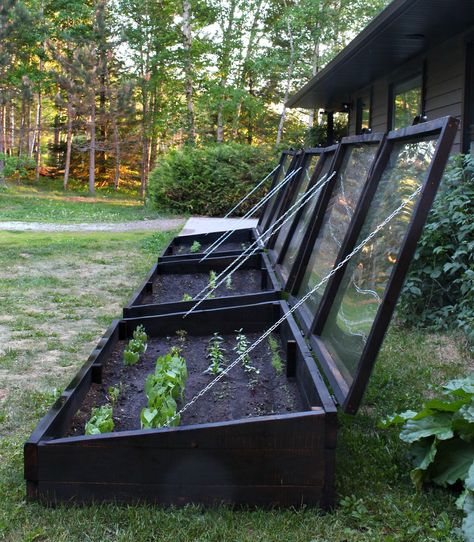 Winter Cold Frame Gardening, Garden Cold Frame Diy, Cold Frame Garden, Cold Frames Gardening, Coldframe Gardening Diy, Diy Cold Frame Ideas, Diy Cold Frame Greenhouse, Diy Cold Frames, A Frame Garden