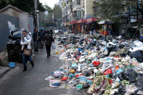 People throw trash into the streets even when there is a trash bin close by. Trash Bin, Trash Bins, Pollution, The Streets, Street View, Christmas Tree, Holiday Decor