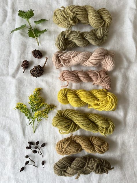 Green Natural Dye, Nature Dye Fabric, Natural Plant Dyes, Natural Yarn Dyeing, Goldenrod Flower, Dyeing Yarn With Natural Dyes, Eco Brand, Fabric Dyeing Techniques, Fabric Dyeing