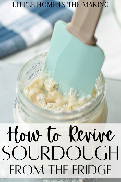 How To Maintain Sourdough Starter In Fridge, Taking Sourdough Starter Out Of Fridge, Keeping Sourdough Starter Alive, Feeding A Sourdough Starter, Revive Sourdough Starter From Fridge, Reviving Sourdough Starter From Fridge, How To Feed Sourdough Starter From Fridge, Sourdough Starter Consistency, Feeding Sourdough Starter From Fridge