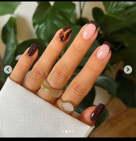 Fall Short Nails, Candy Corn Nails, Wife Nails, Nails Collection, Wine Nails, November Nails, February Nails, Square Nail Designs, Cute Simple Nails