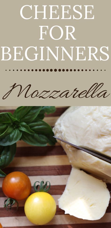 Snacks With Fresh Mozzarella, Whole Milk Mozzarella Recipes, Easy Cheese Making Recipes, Homemade Cheese Recipes Cheesemaking, Homemade Mozzarella Recipes, How To Make Monzerrela Cheese, How To Make American Cheese, How To Make Fresh Mozzarella, How To Make Fresh Mozerella