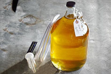 mead recipe Mead Making, Honey Mead, Mead Wine, How To Make Mead, Mead Recipe, Best Chicken Pot Pie, Fermented Honey, Honey Wine, Homemade Wine