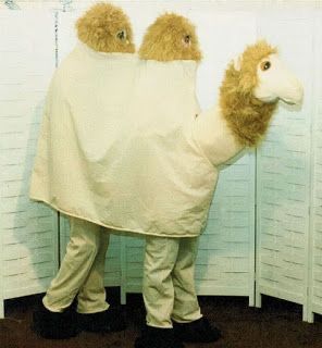 Camel Costume, Trio Costumes, Cute Group Halloween Costumes, Bff Halloween Costumes, Best Friend Halloween Costumes, Trio Halloween Costumes, Halloween Costumes For 3, Pretty Halloween Costumes, Cute Couple Halloween Costumes