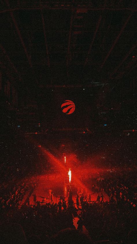 Toronto Raptors Wallpaper Iphone, Toronto Raptors Aesthetic, Nba Photoshoot, Toronto Raptors Wallpaper, Drake Raptors, Nba Aesthetic, Basketball Aesthetic, Nba Wallpaper, Deer Wallpaper