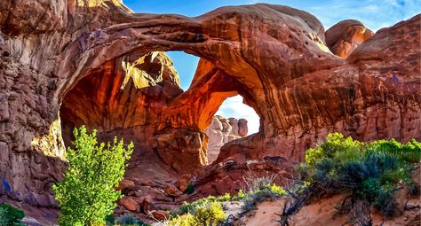 Hike the Calico Tanks Trail in the Red Rock Canyon and be rewarded with commanding views of Las Vegas. Australian Silky Terrier, Vision Boarding, Desert Tortoise, Outside Dogs, Red Rock Canyon, Zion National Park Utah, House Sitter, Silky Terrier, Nevada Usa