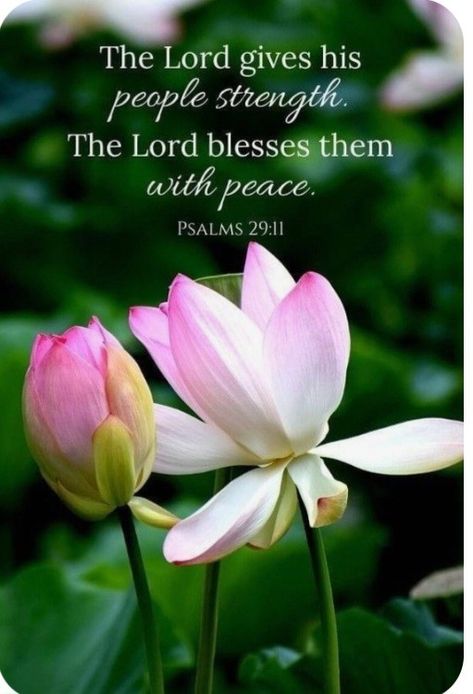 Wishing Peace Quotes, Strength And Peace Quotes, May God Comfort You In Your Loss, Words Of Peace And Comfort, Scriptures Of Peace, God’s Peace Quotes, Peace And Blessings Quotes, Peace And Comfort Scripture, Positive Quotes For Life Bible