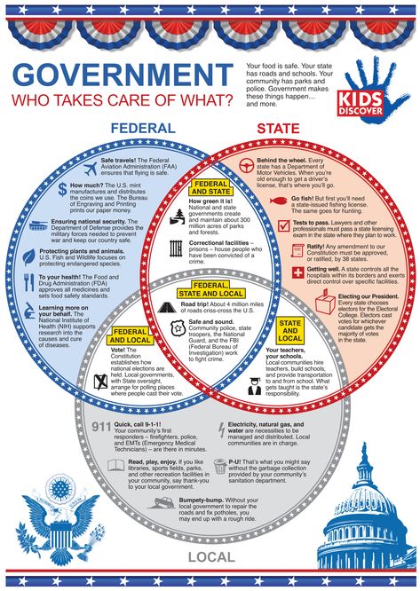 Federalism and Shared Power Government Lessons, Teaching Government, 4th Grade Social Studies, 5th Grade Social Studies, Homeschool Social Studies, Branches Of Government, History Classroom, Social Studies Lesson, Knowledge Facts