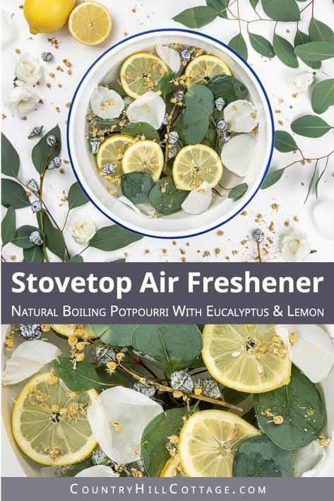 Diy Stove Top Potpourri, Summer Potpourri, Smell Good Naturally, Stove Potpourri, Spring Potpourri, Homemade Stove, Make Your House Smell Good, Spring Smells, Air Freshener Recipes