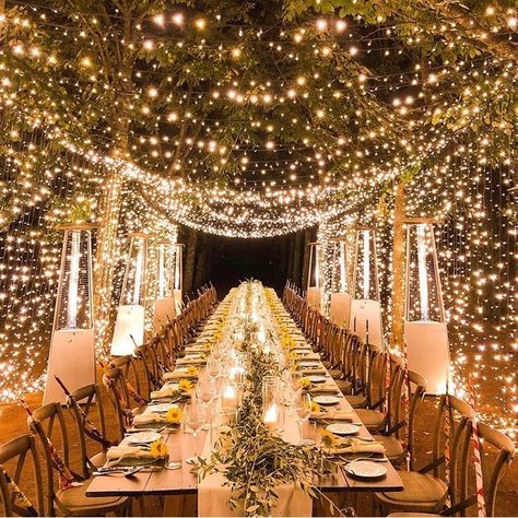 Sonnenglas ® (@sonnenglas) posted on Instagram • Nov 23, 2019 at 5:30pm UTC Light Tunnel Wedding, Light Tunnel, Wedding Set Up, Christmas Table Settings, Fairy Tale Wedding, Wedding Lights, Christmas Table, Fairy Lights, Light Table