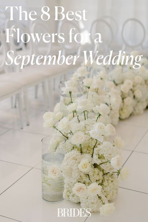 We asked the experts to share the best flowers that are in season for a September wedding. Whether you use them in your bridal bouquet, your wedding ceremony arch, or your wedding centerpiece here are the florals to choose for your late summer or early fall wedding. // Photo: Amanda Donaho Photography All White Fall Wedding Bouquet, White Flowers For Fall Wedding, September Flower Wedding, White Fall Flowers Wedding, Fall Seasonal Flowers, Flowers Available In September, Bridal Bouquet September Wedding, September Flowers In Season Weddings, White September Flowers