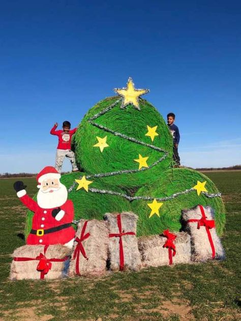 Farm Christmas Parade Float, Haybale Decorating Contest, Turkey Hay Bale Art, Farm Christmas Floats Parade Ideas, Grinch Hay Bale, Christmas Hay Bale Art, Xmas Diy Decorations Outdoor Christmas, Christmas Hay Bales Decoration, Hay Bale Art Round