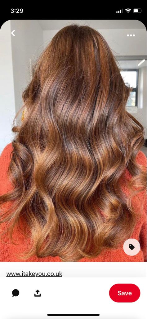 Bronde Lob, Orange Brown Hair, Hair Colour Trends, Brown Hair Color Shades, Beautiful Brown Hair, Chestnut Hair Color, Hair Color Caramel, Ginger Hair Color, Gorgeous Hair Color