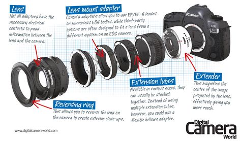 Canon EF/EF-S lens adapters Cheat Sheet Canon Camera Tips, Best Canon Lenses, Camera Parts, Learn Photography, Gopro Photography, Camera World, Photography Cheat Sheets, Canon Dslr, India Photography