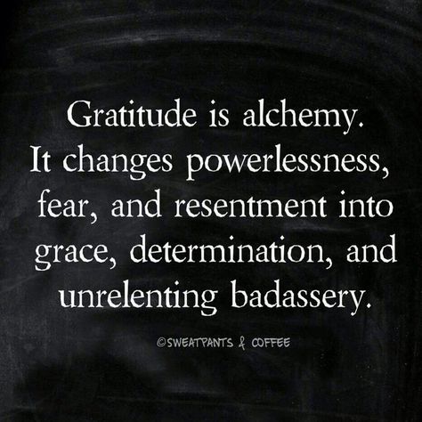 Gratitude is alchemy, It changes powerlessness, fear, and resentment into grace, determination and unrelenting bad assery! Light Warrior, Manifestation Miracle, A Course In Miracles, Creativity Inspiration, Manifesting Wealth, Attitude Of Gratitude, Quantum Physics, Gratitude Quotes, Spiritual Awakening