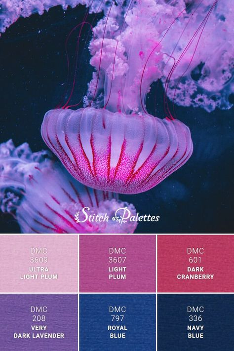 Royal Blue And Pink Color Palette, Sapphire Blue Palette, Dark Vibrant Color Palette, Royal Blue And Pink Bedroom, Navy Pink Color Palette, Red Blue Purple Color Palette, Royal Blue Colour Palette, Jellyfish Palette, Dark Blue Color Combinations