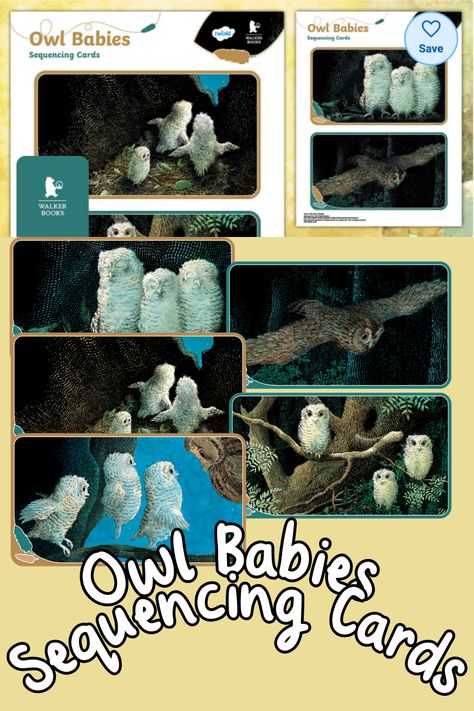 Owl Babies Book, Book Owl, Owl Babies, Sequencing Cards, Story Retell, Story Sequencing, Five In A Row, Baby Owls, Classic Kids