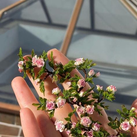 Yevheniia Kudriavtseva on Instagram: "💕💕💕Climbing rose💕💕💕Scale 1/12💕💕💕#climbingroses #climbingrose #dollhouseroses #dollhouserose #miniaturerose #miniatureroses #dollhouseflowers #dollhouseminiatures #dollhouseminiature #oneinchscale" Dollhouse Vines Diy, Miniature Roses Indoors, Millers Garden Miniature, Miniature Plants Diy Doll Houses, Dollhouse Garden, Mini Plants, Flower Food, Climbing Roses, Climbing Plants