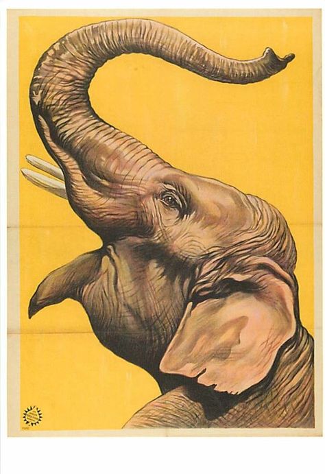 Scientist Tattoo, Nostalgia Design, Cirque Vintage, Old Circus, Vintage Circus Posters, Party Illustration, Elephant Photography, Space Animation, Regnul Animal