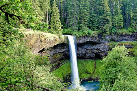 Oregon Caves, Oregon Dunes, Oregon State Parks, Seaside City, Commercial Fishing, Newport Oregon, Silver Falls State Park, Smith Rock State Park, Ecola State Park