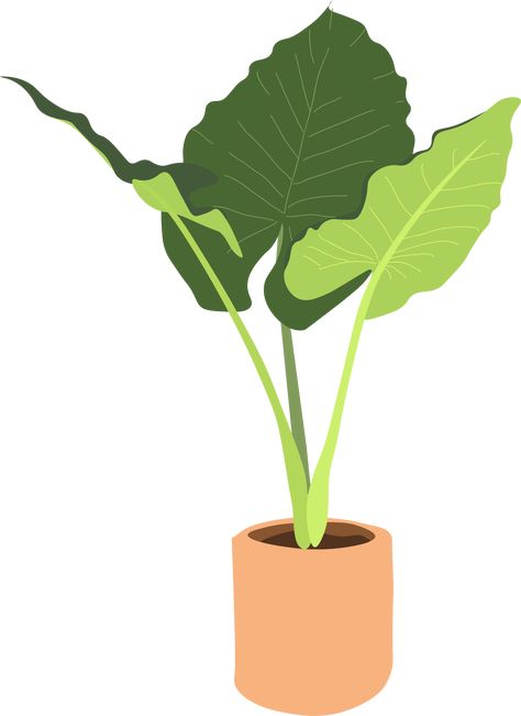 #colomo #ilustración #arquitectura #plantas #plants #illustration #architecture #postgital #vegetación #postproduccion #photoshop Illustration Art Plants, Plants Vector, Plant Vector, Cat Plants, Plant Art Print, Plant Decor Indoor, Nature Drawing, Floral Studio, Plant Illustration