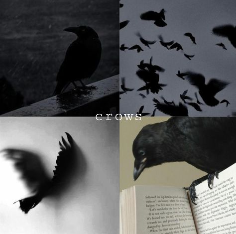 Animals ~ Nature - What do you choose? @glowystarspop ✨🫧 Animagus Ideas, Patronus Ideas, Aesthetic Lockscreen, Different Aesthetics, Fantasy Aesthetic, June 1, Red Fox, Character Aesthetic, Crows