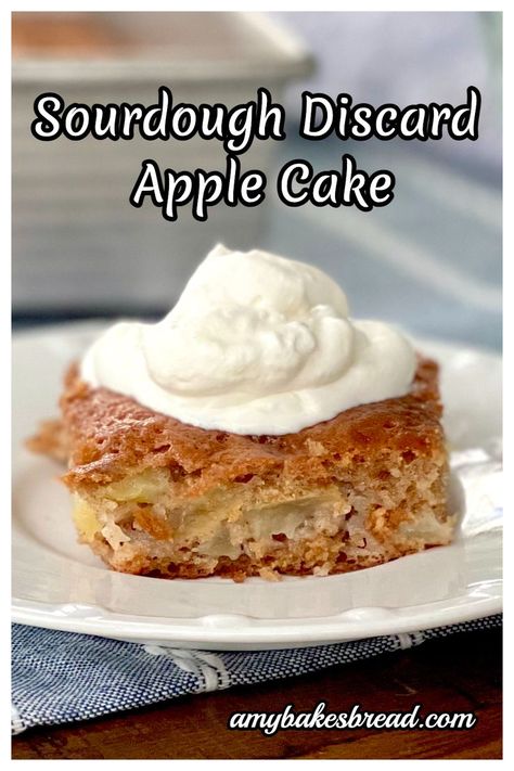 Sourdough Discard Apple, Sourdough Dessert, Amish Bread Recipes, Sourdough Apple, Quick Apple Dessert, Moist Apple Cake, Easy Sourdough Bread Recipe, Blueberry Crumb Cake, Recipe Using Sourdough Starter