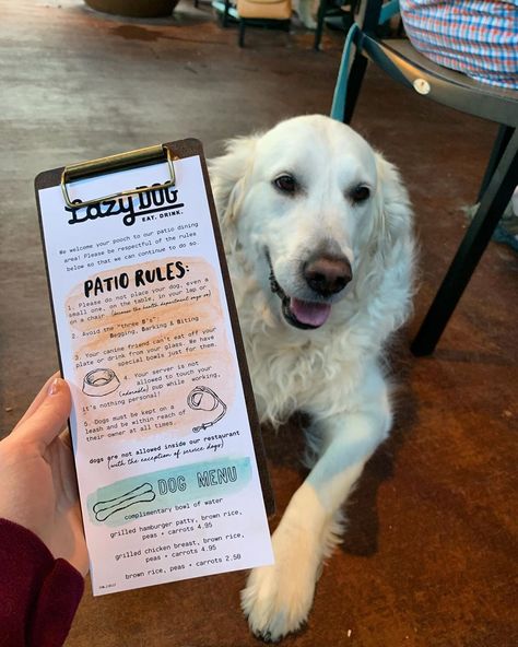 Dog Friendly Bar Ideas, Dog Friendly Restaurant Design, Pet Friendly Cafe Interior, Dog Friendly Cafe Ideas, Pet Friendly Coffee Shop, Pet Friendly Cafe Ideas, Dog Menu Ideas, Dog Friendly Coffee Shop, Dog Cafe Ideas