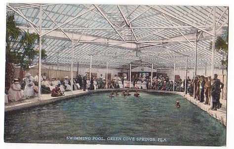 Green Cove Springs Florida, Springs Florida, Beautiful Town, St Johns, Vintage Postcard, Historic Buildings, St John, Swimming Pool, Swimming Pools