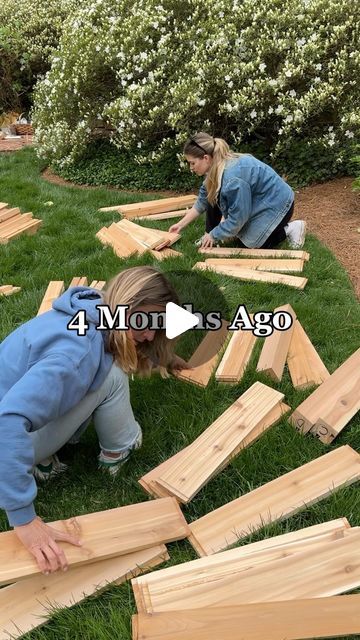 Harvest Beets, Beets Carrots, Cedar Raised Garden Beds, Building A Raised Garden, Not Now, Chicken Feed, Kitchen Garden, Raised Beds, I Know It