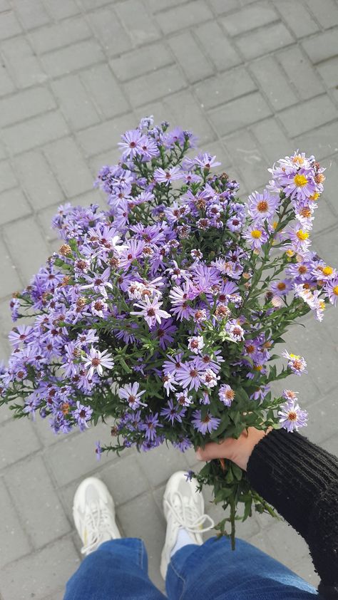 Purple Flowers Aesthetic Wallpaper, Purple Flower Bouquet Aesthetic, Aster Flower Bouquet, Purple Flowers Aesthetic, Purple Flower Bouquet, Purple Birthday Party, Flower Boquet, Purple And White Flowers, White Veil