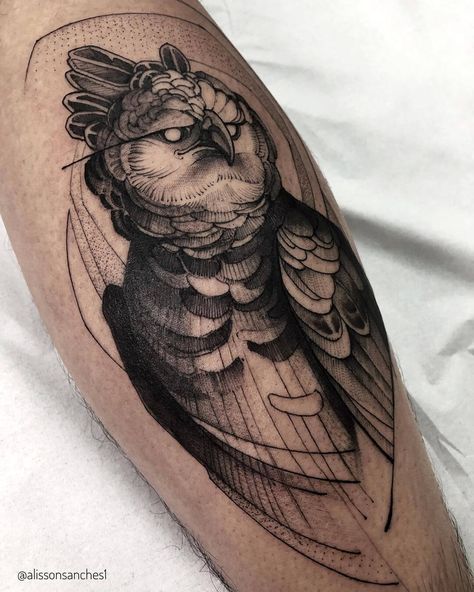 #Tattoos,The Geometric Harpy Eagle Tattoo Fredo Tattoo, Harpy Eagle Tattoo, Rio Tattoo, Natur Tattoo Arm, Owl Tattoo Sleeve, 30 Tattoo, Nature Tattoo Sleeve, Harpy Eagle, Tattoo Nature